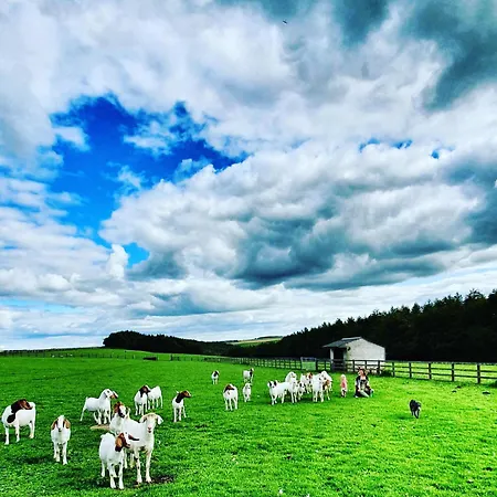 High Paradise Farm-2