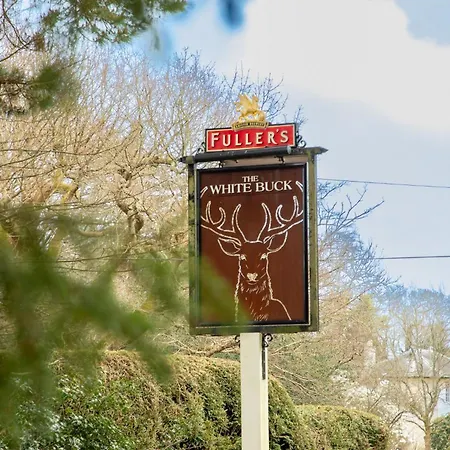 The White Buck-3