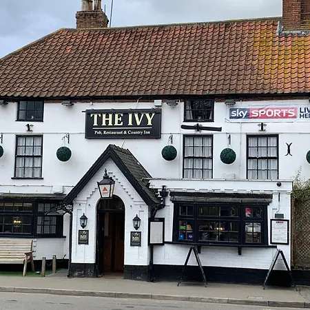 The Ivy-2
