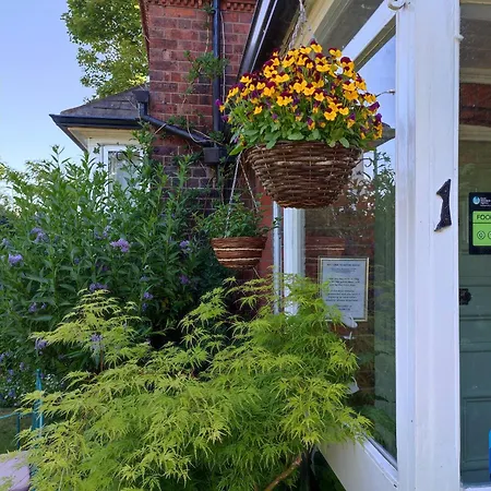Anton Guest House Bed And Breakfast-2