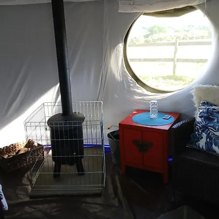 Mousley House Farm Campsite And Glamping-2