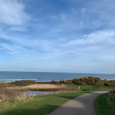The Bay, Filey, Moonshine Cottage-2