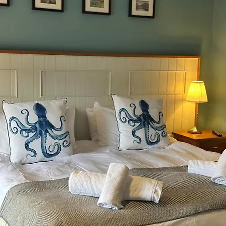 Y Meirionnydd Boutique Hotel-2