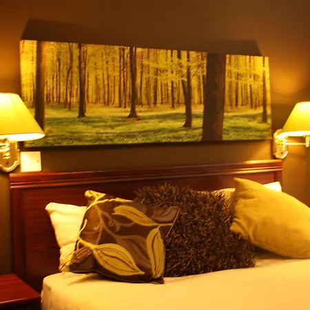 Birch Hotel-3