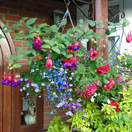 Trumbles Gatwick B&B, Peaceful Stay With Parking & Easy Airport Access-2