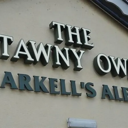 The Tawny Owl-2