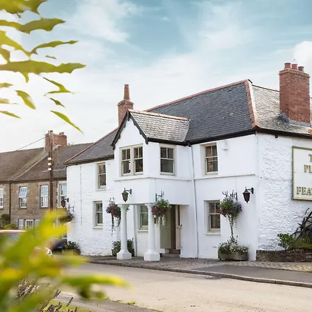 The Plume Of Feathers-3