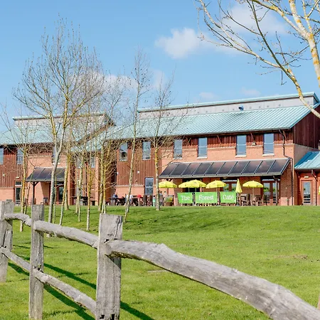 Yha National Forest-2