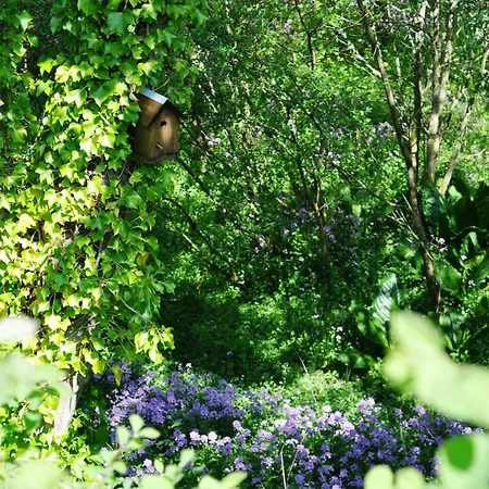 Craigmhor Lodge & Courtyard-2