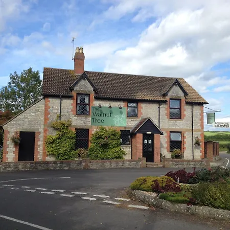 The Walnut Tree-3