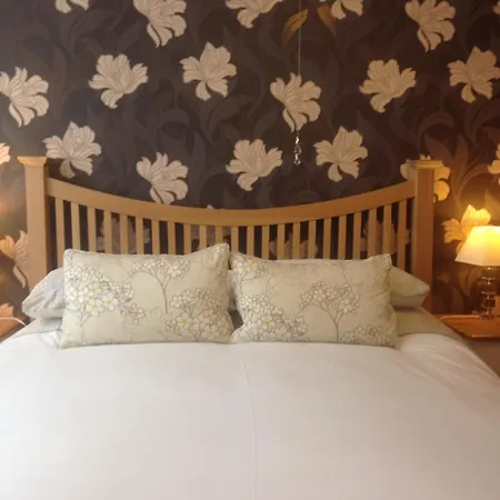 The Sherwood, No 11,-3