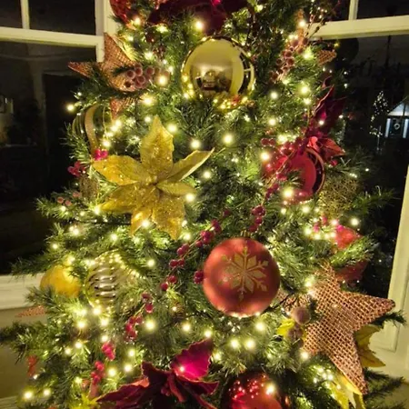 Denehurst Guest House - Adults Only-3