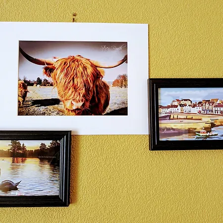 The Coo'S Guest House-2