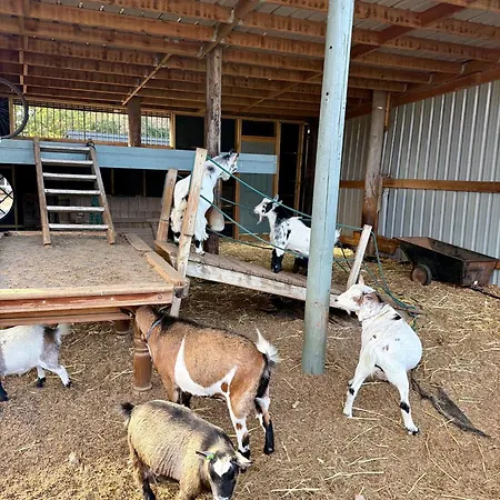 Willow Court Farm Studio East & Petting Farm, 8 Mins To Legoland & Windsor, 15 Mins To Lapland Uk-3
