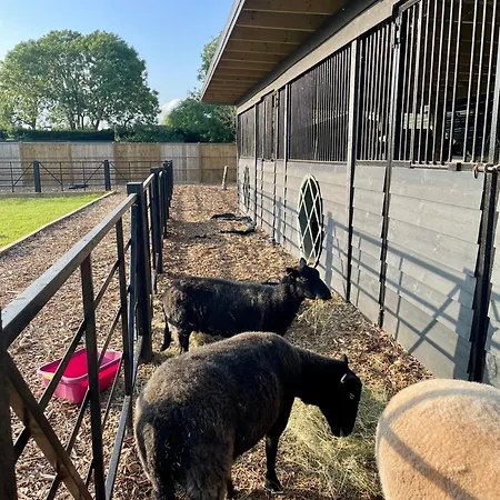 Willow Court Farm Studio East & Petting Farm, 8 Mins To Legoland & Windsor, 15 Mins To Lapland Uk-2