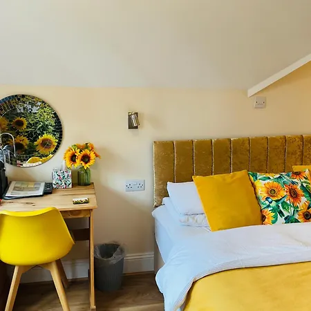 All Seasons Bed & Breakfast - Adults Only-2