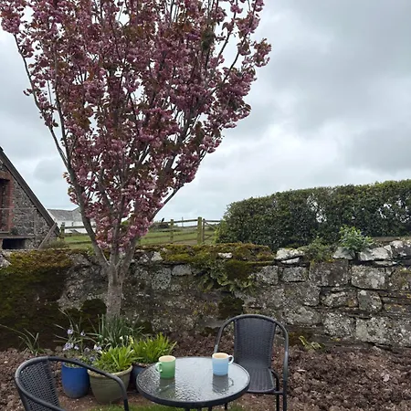 Trevanger Farm Bed And Breakfast-2