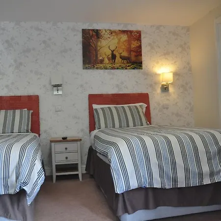 Dragon Bed And Breakfast-2