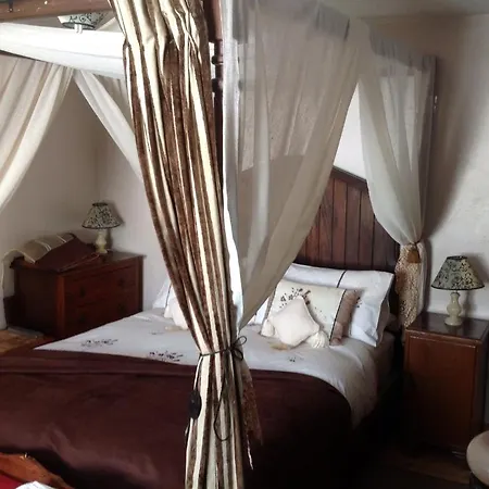 Alice Guest House-3