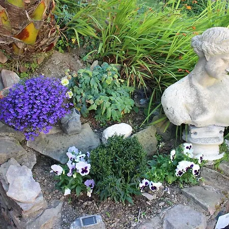Acorns Guest House-3
