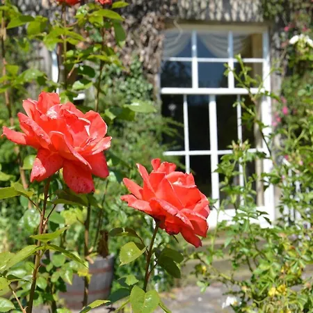 Powis House B&B-2