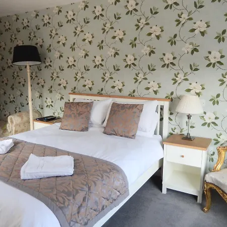 Newport Guest House-2