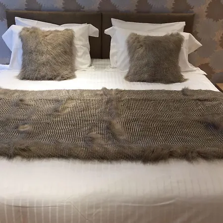8 Owls B&B-3