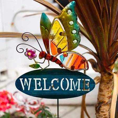 Butterfly Guest House-3
