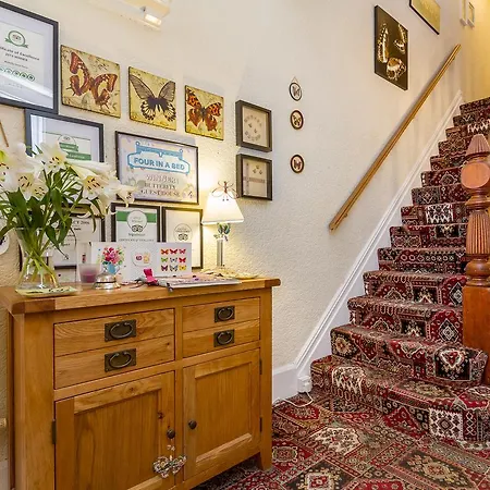 Butterfly Guest House-2