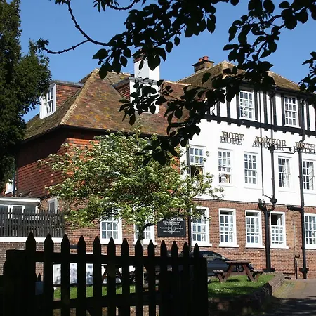 The Hope Anchor-3