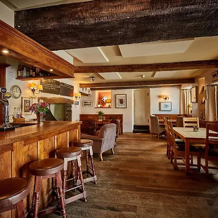 The Swan-3