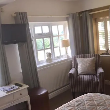 The Swan Inn-2