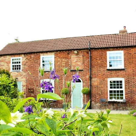 The Vine B & B-2