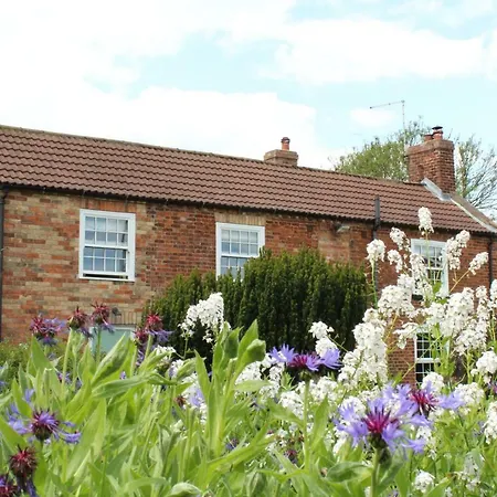 The Vine B & B-3