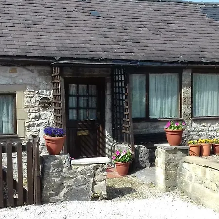Hollybush Inn-2