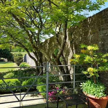 Llwynhelig Manor-3