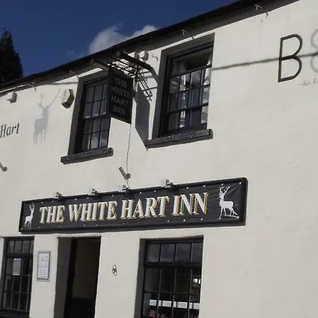 White Hart Inn-3