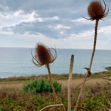Shorefield Country Park, Where The New Forest Meets The Sea, Passes For All Entertainment Included-2