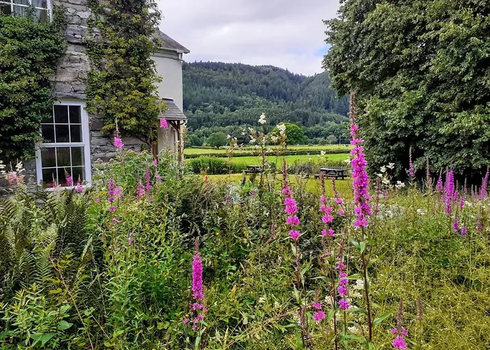 Fsc Rhyd-Y-Creuau