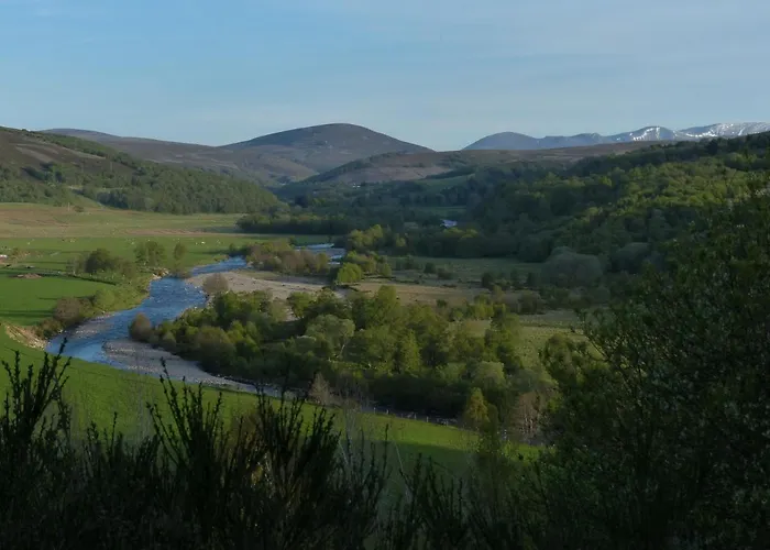 The Glenavon