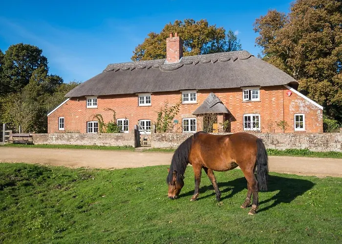 Thatched Cottage