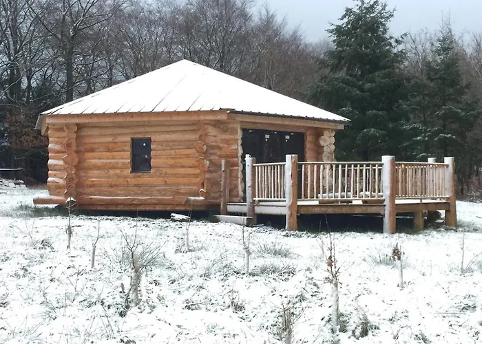 Coed Y Marchog Woodland Retreat