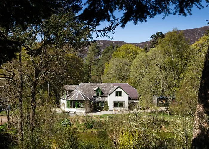 Wee Wilds