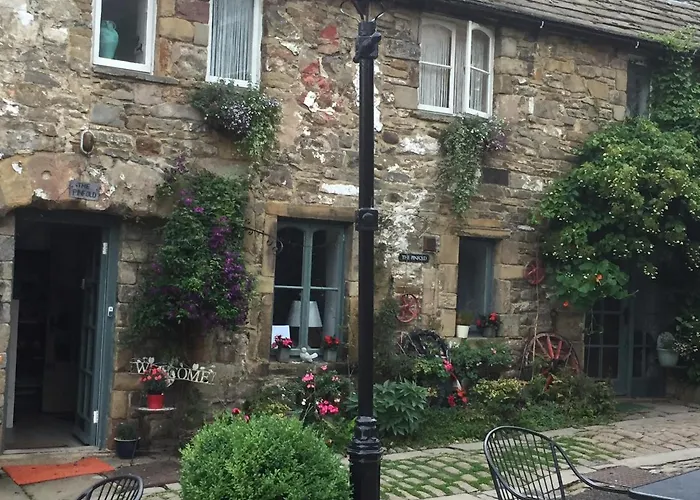 The Pinfold
