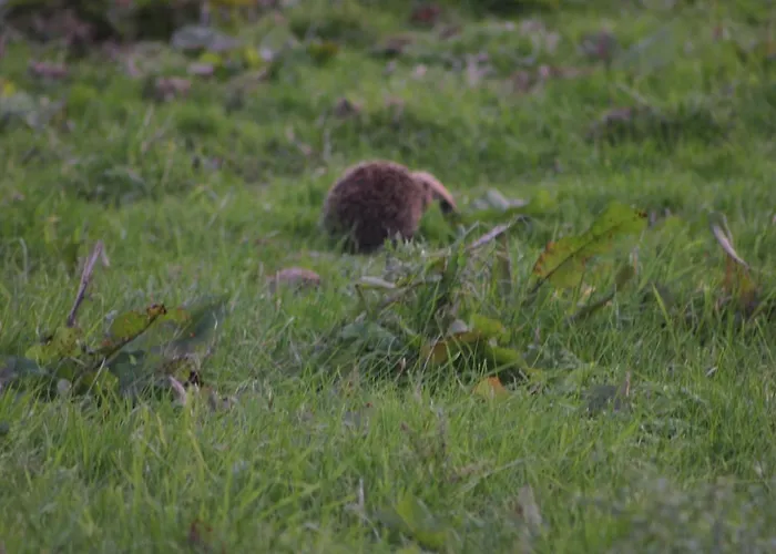 High Keenley Fell Self Catering