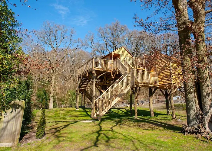 Oakside Tree Tops Κάντεμπερι, Ηνωμένο Βασίλειο