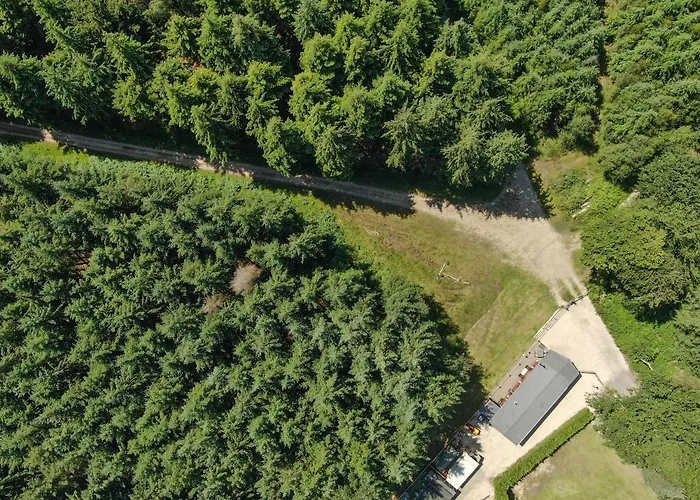 Haldon Forest Lodge, Exeter