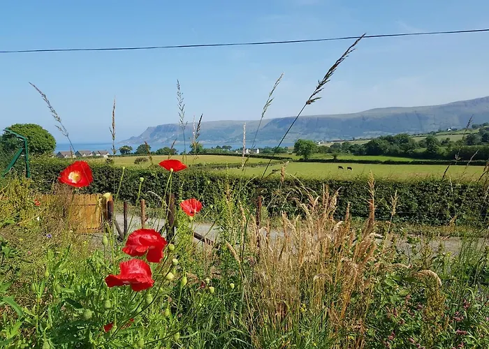 Glens Glamping