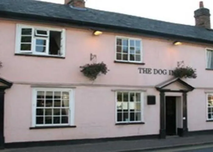 The Dog Inn Halstead , United Kingdom