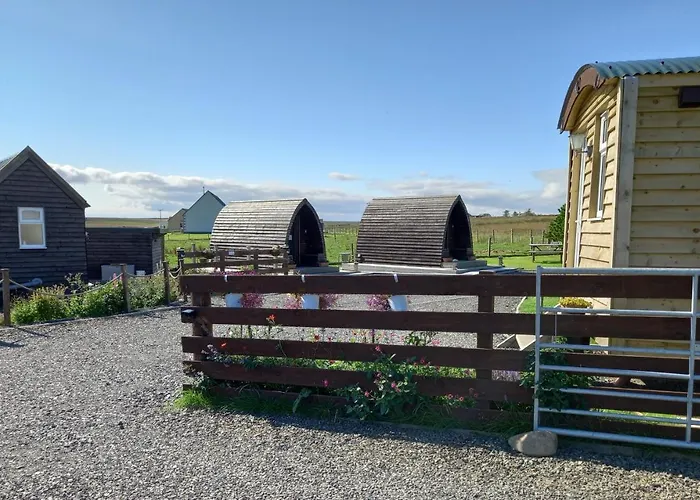 Hillside Camping Pods